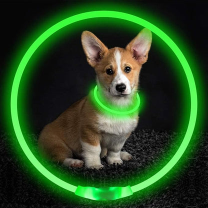 NightBright USB Rechargeable LED Dog Collar