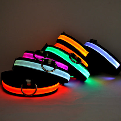 SafeGlow LED Cat Collar