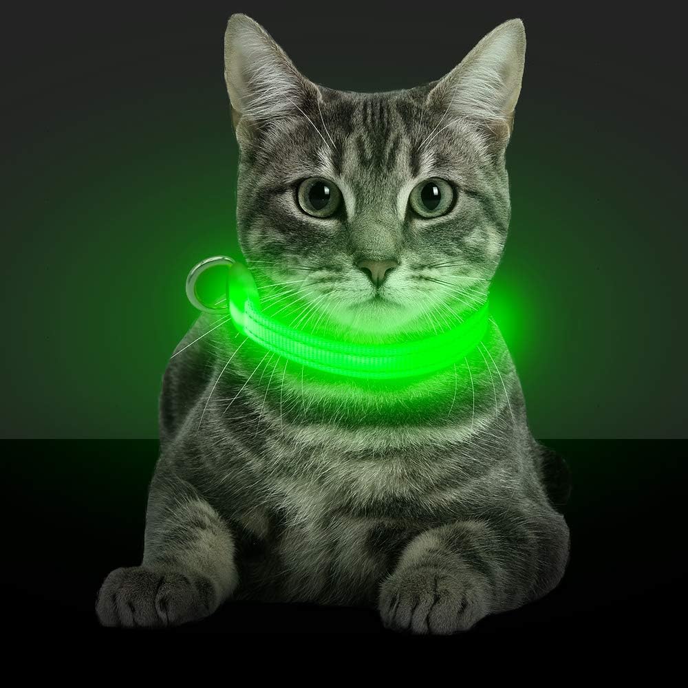 SafeGlow LED Cat Collar