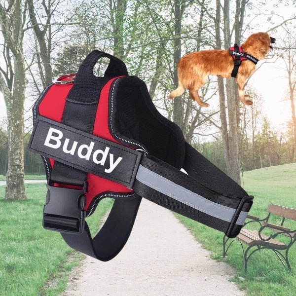 Personalized Paws Adventure Harness