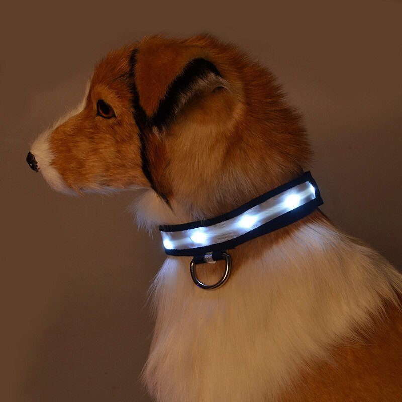 LED Pet Safety Collar - Chargeable! - Farm City Pets