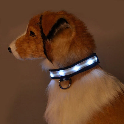 LED Pet Safety Collar - Chargeable! - Farm City Pets