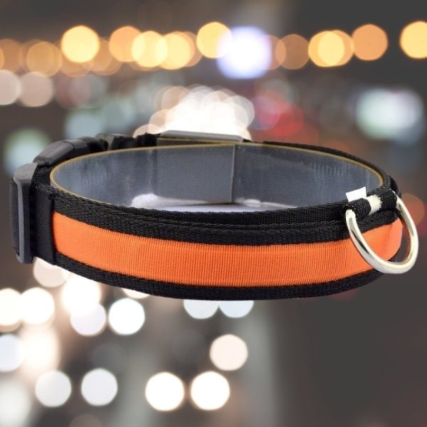 LED Pet Safety Collar - Chargeable! - Farm City Pets