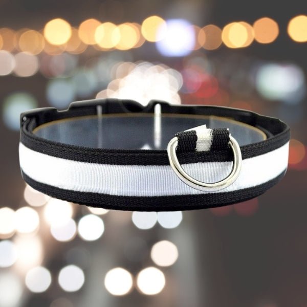 LED Pet Safety Collar - Chargeable! - Farm City Pets