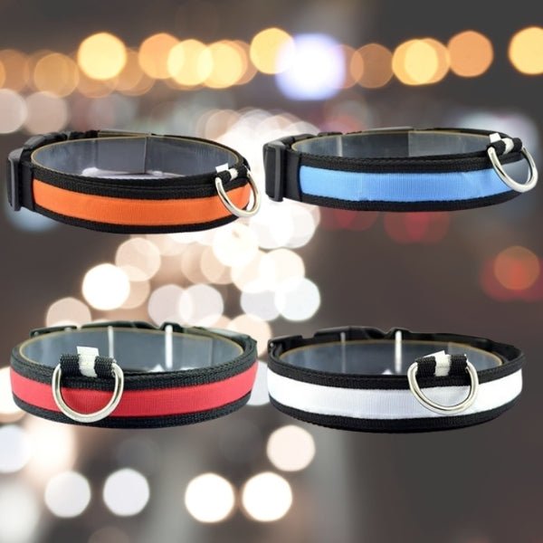 LED Pet Safety Collar - Chargeable! - Farm City Pets