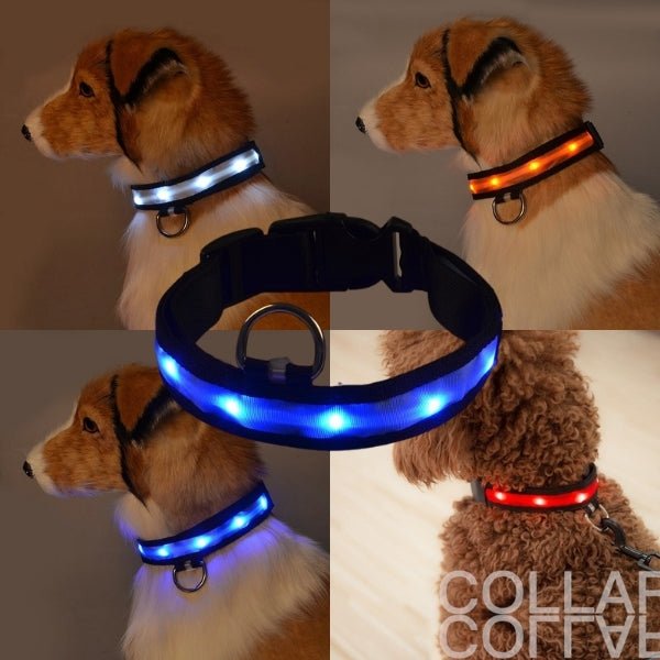 LED Pet Safety Collar - Chargeable! - Farm City Pets