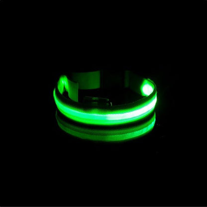 LED Pet Safety Collar - Chargeable! - Farm City Pets