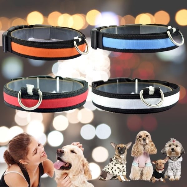 LED Pet Safety Collar - Chargeable! - Farm City Pets