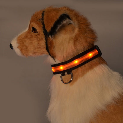 LED Pet Safety Collar - Chargeable! - Farm City Pets