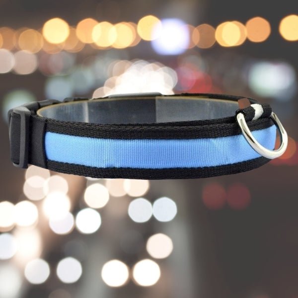 LED Pet Safety Collar - Chargeable! - Farm City Pets