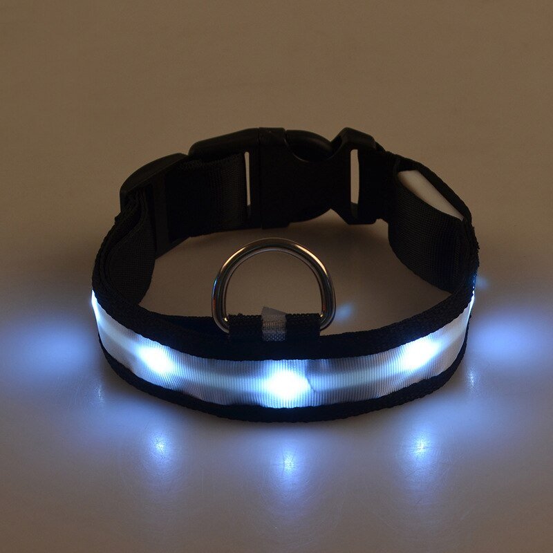 LED Pet Safety Collar - Chargeable! - Farm City Pets