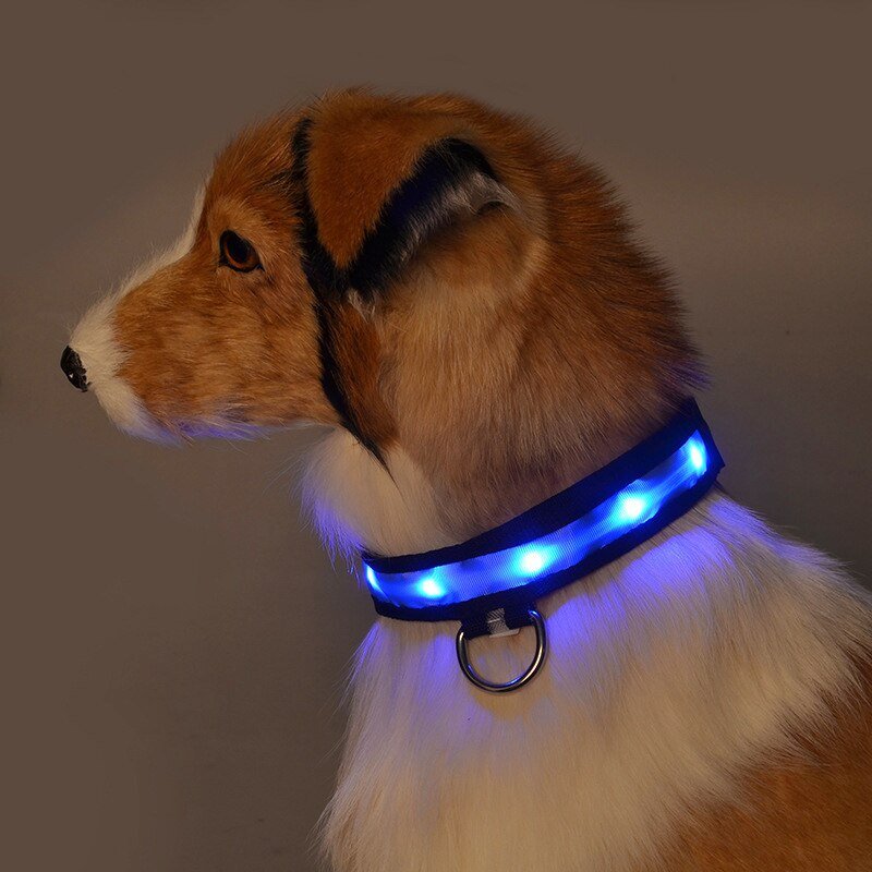 LED Pet Safety Collar - Chargeable! - Farm City Pets