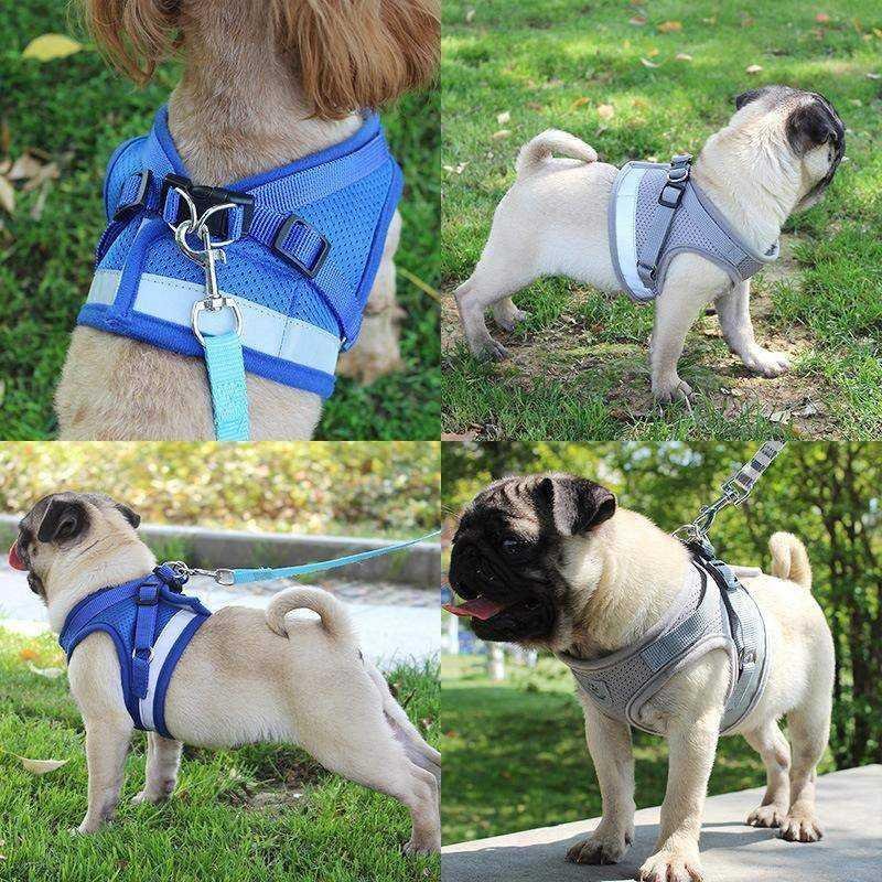 Reflective Cat Safety Harness + Leash Set - Farm City Pets