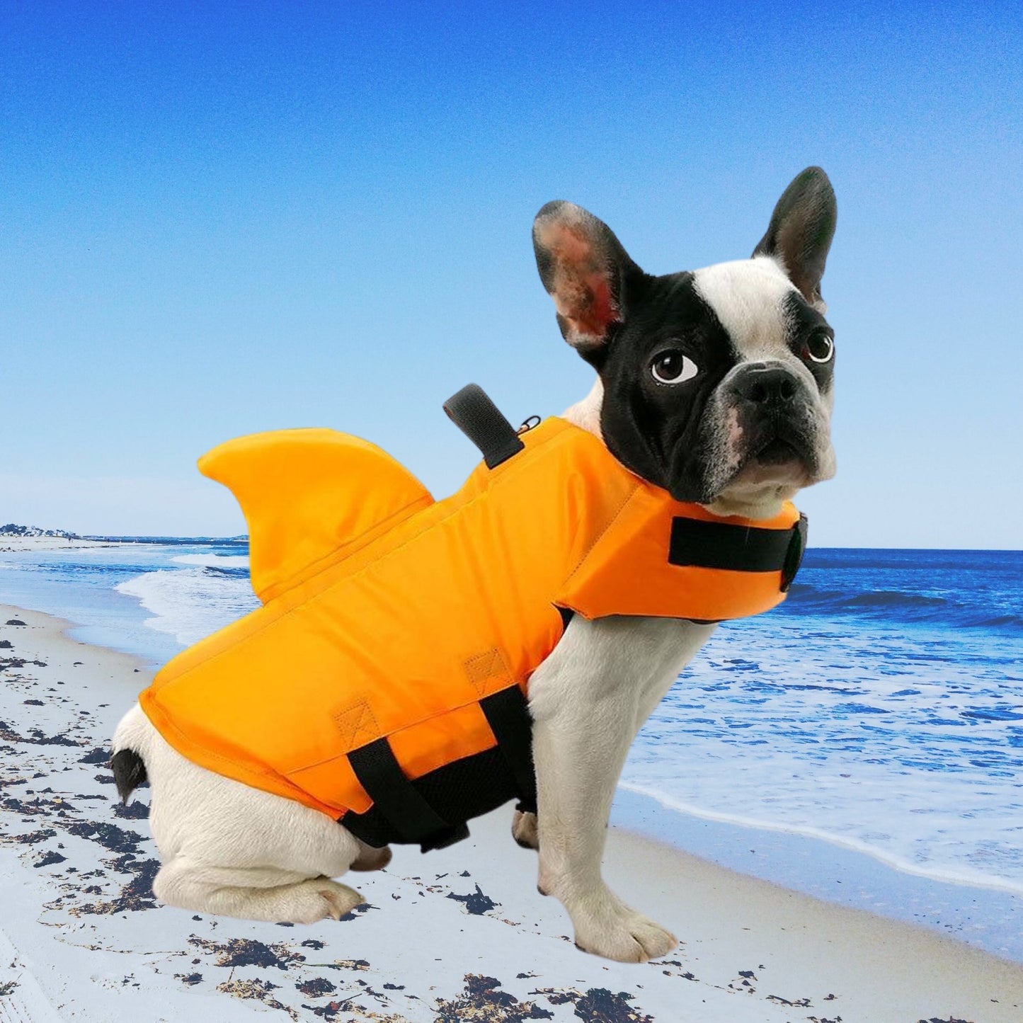 SharkDog Safety Life Vest - Farm City Pets