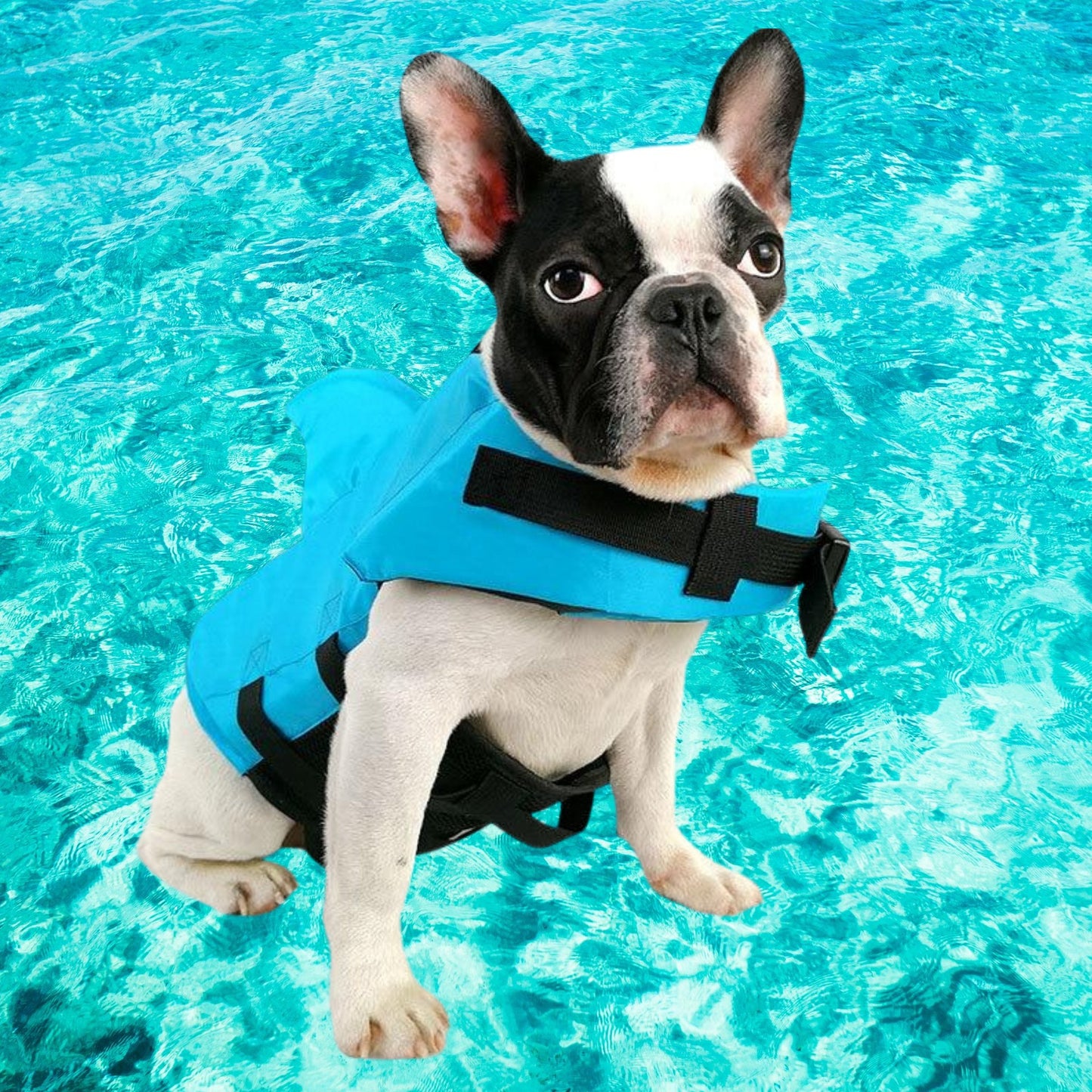 SharkDog Safety Life Vest - Farm City Pets