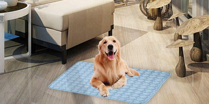 Summertime Pet Cooling Mat - Farm City Pets