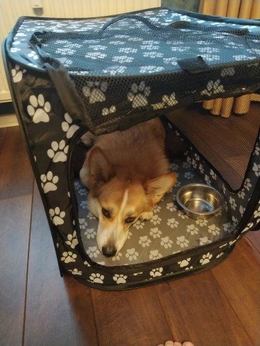 Foldable Soft Pet Crate