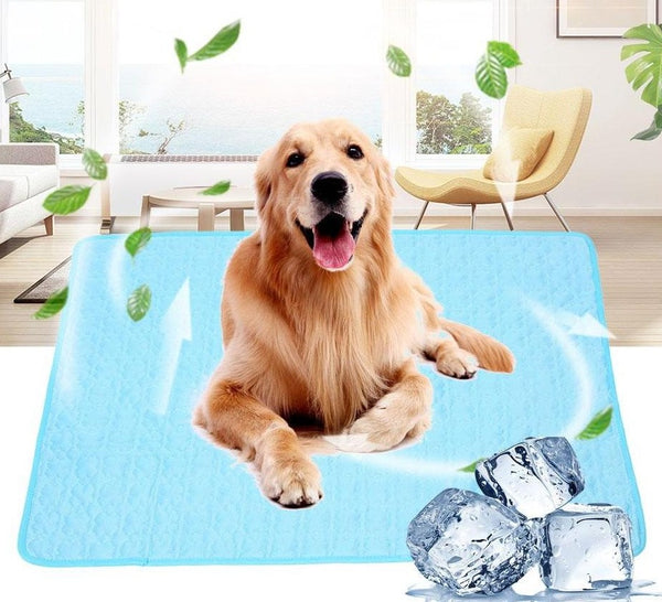 Summertime Pet Cooling Mat - Farm City Pets