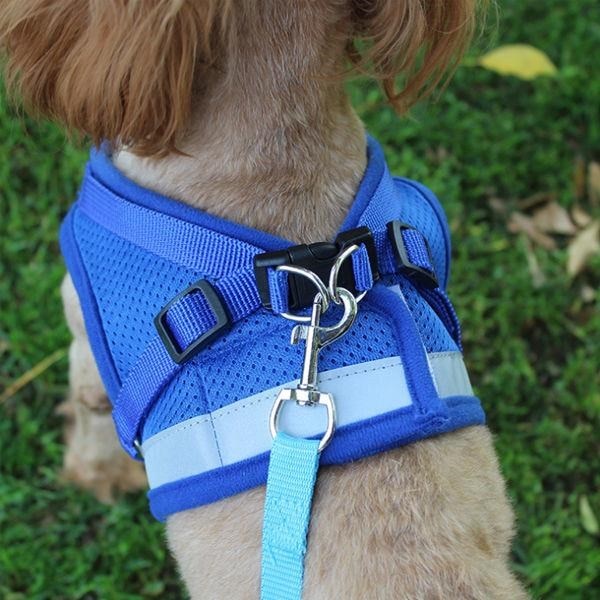 Reflective Cat Safety Harness + Leash Set - Farm City Pets Australia