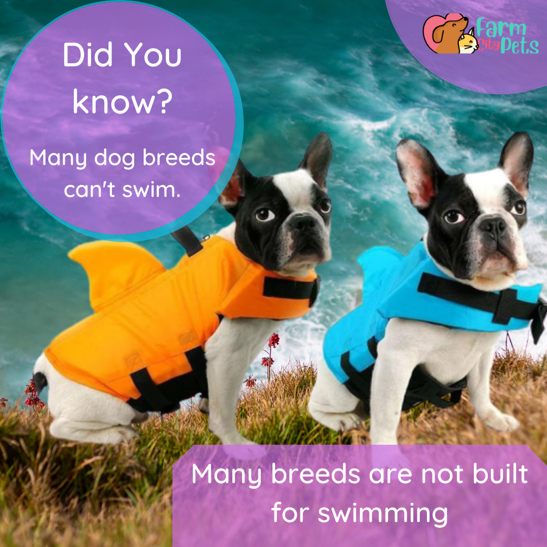 SharkDog Safety Life Vest - Farm City Pets Australia