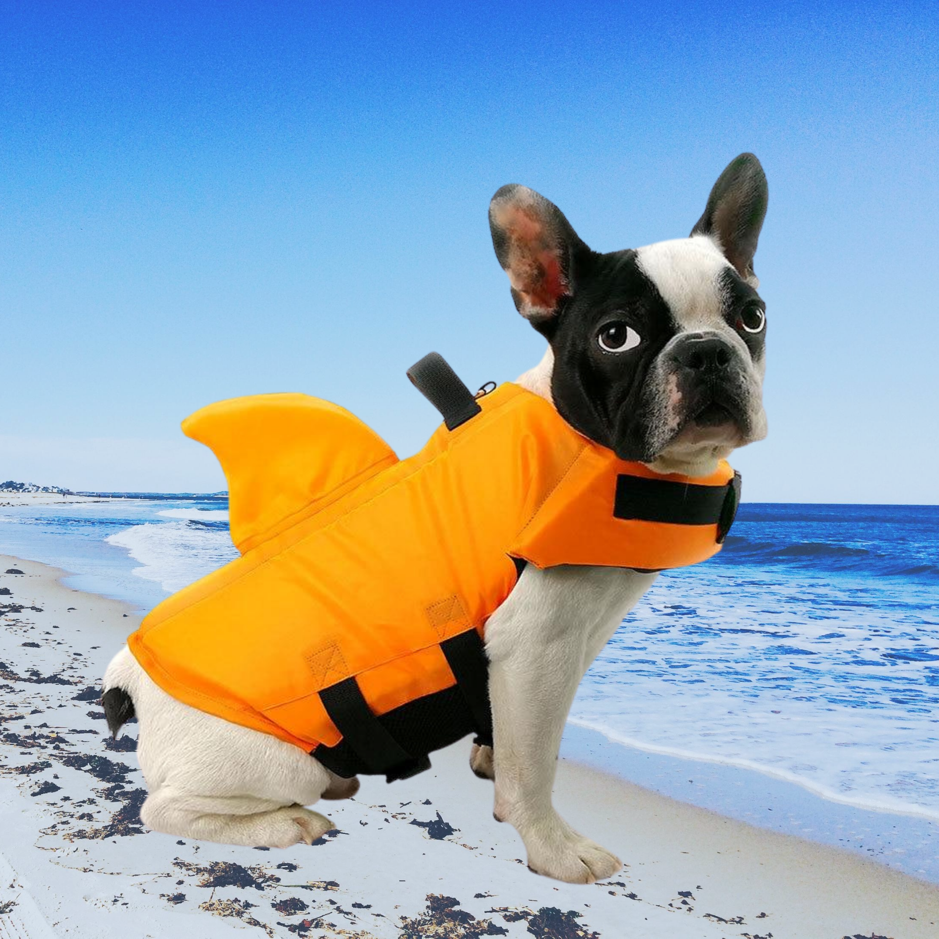 SharkDog Safety Life Vest - Farm City Pets Australia